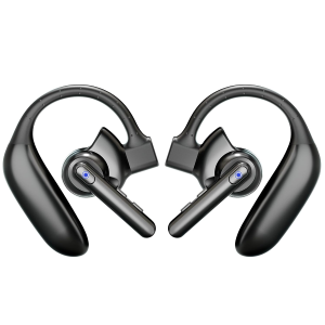 Noise Cancellation Hearing Aids